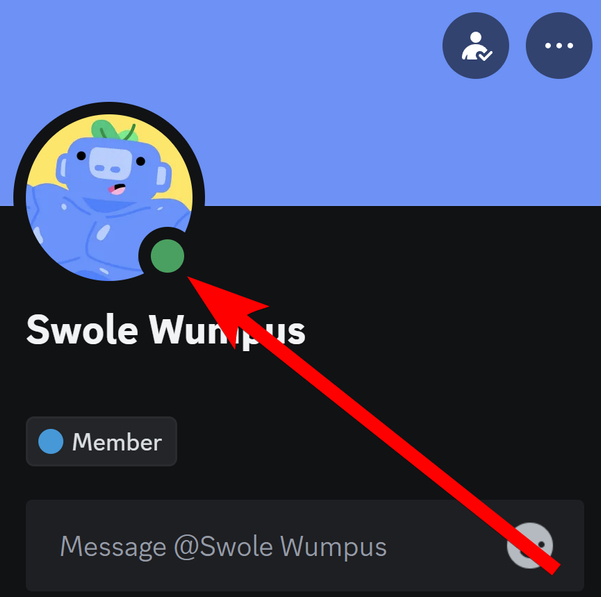 Discord online status