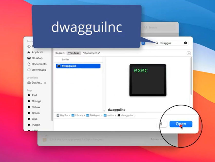 DWService grant permission