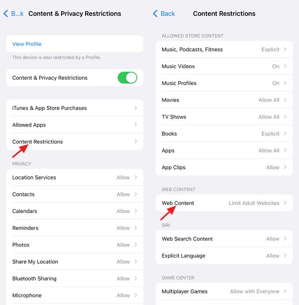 selecione o conteúdo da web