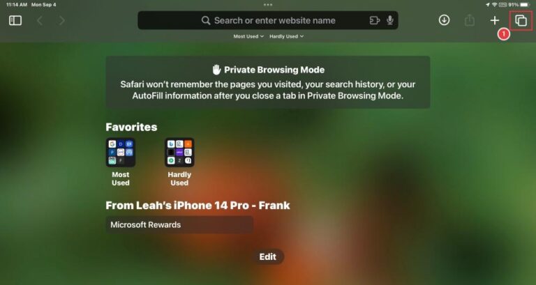 Safari tabs icon on iPad