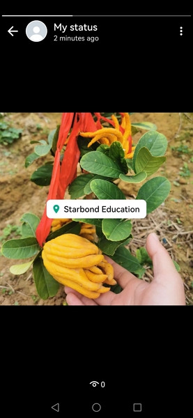 WhatsApp&nbsp;Status with location 