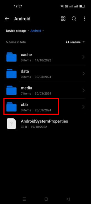 cope obb file to correct folder