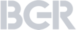 logo bgr grey