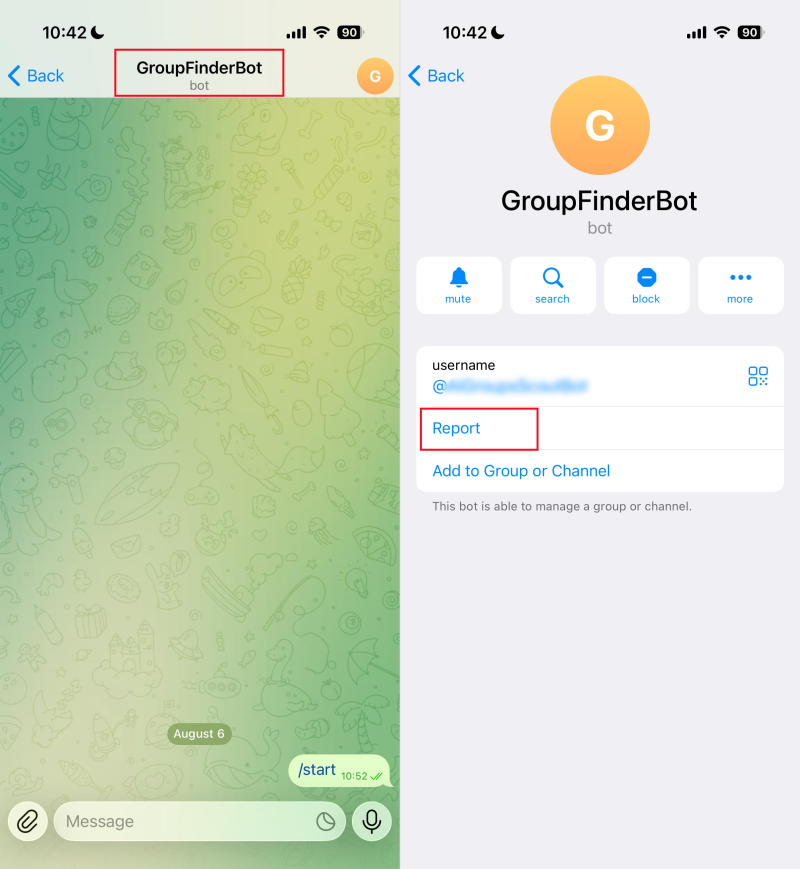 Denunciar bot no Telegram